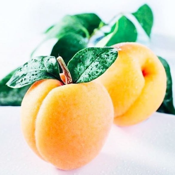 11 BEAUTY BENEFITS OF APRICOT KERNAL OIL