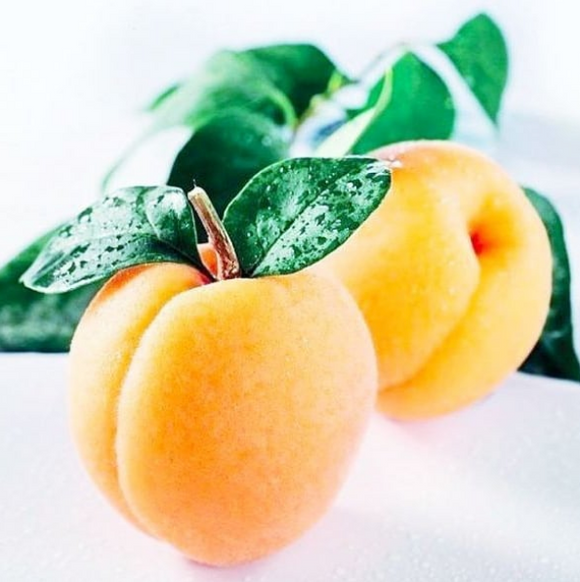 11 BEAUTY BENEFITS OF USING APRICOT KERNAL OIL