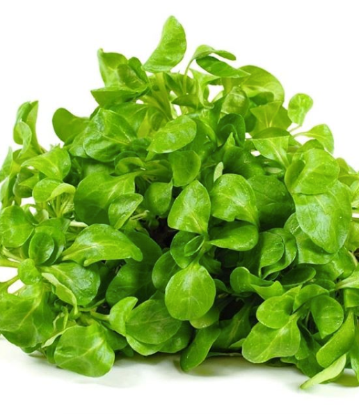 16 REASONS TO EAT THIS POWERHOUSE SUPERFOOD!