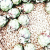 ARTICHOKE - ANTIOXIDANT POWERHOUSE
