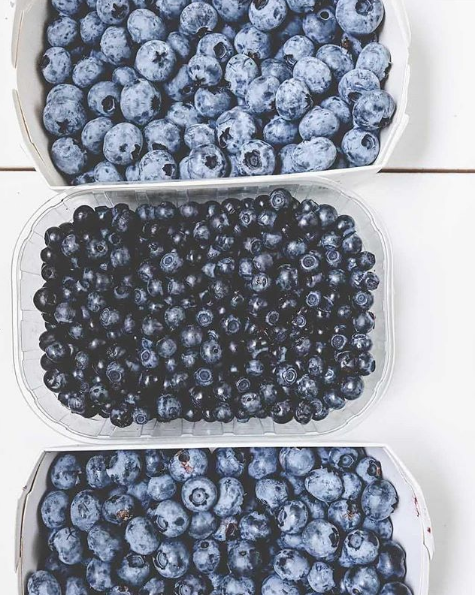 BLUEBERRIES ♡ HEALTH, BEAUTY & ANTI-AGING SUPER BITES