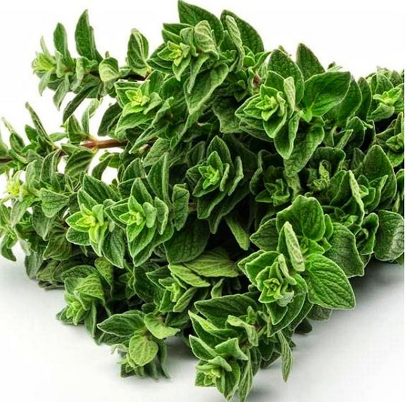 The #1 Health Item To Take With You Traveling