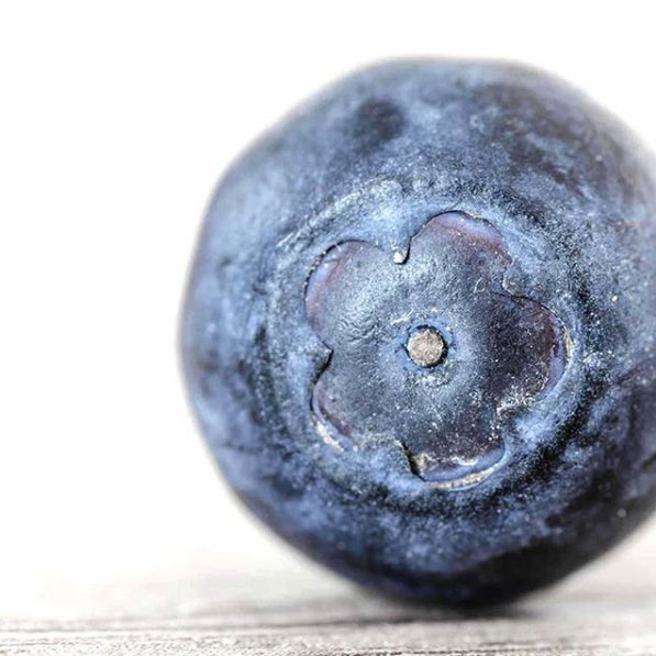 BLUEBERRIES 》HEALTH, BEAUTY & ANTIAGING SUPER BITES...